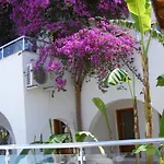 Filis Αλικαρνασσός