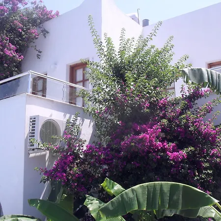 Filis Bodrum