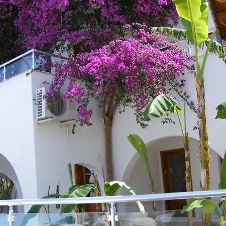 Filis Bodrum